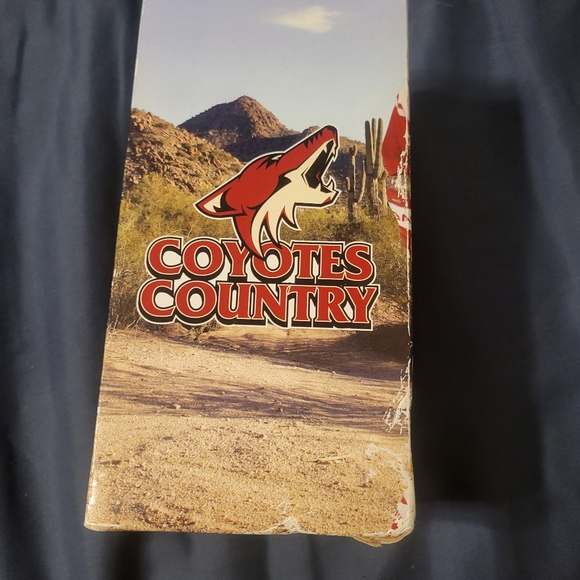 Vintage Ed Jovanovski NHL Hockey Phoenix Coyotes Bobble Head Night By P Squared - Picture 6 of 7